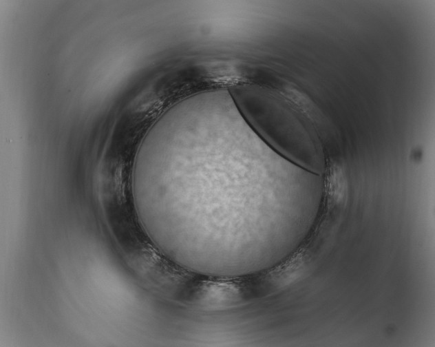 X0000112010572200908171446