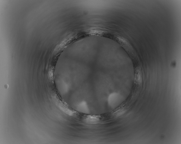 X0000112010573200908171446