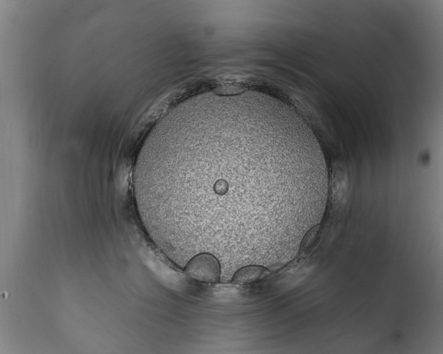 X0000112010574200908171446