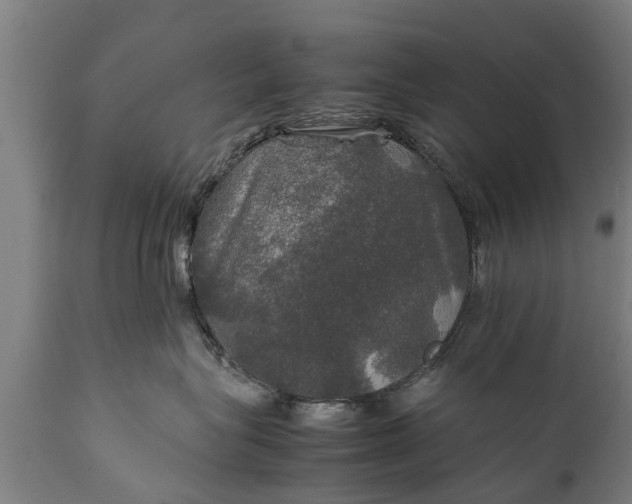 X0000112010575200908171446