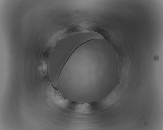 X0000112010576200908171446