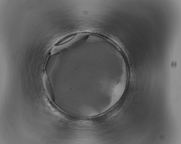 X0000112010577200908171445