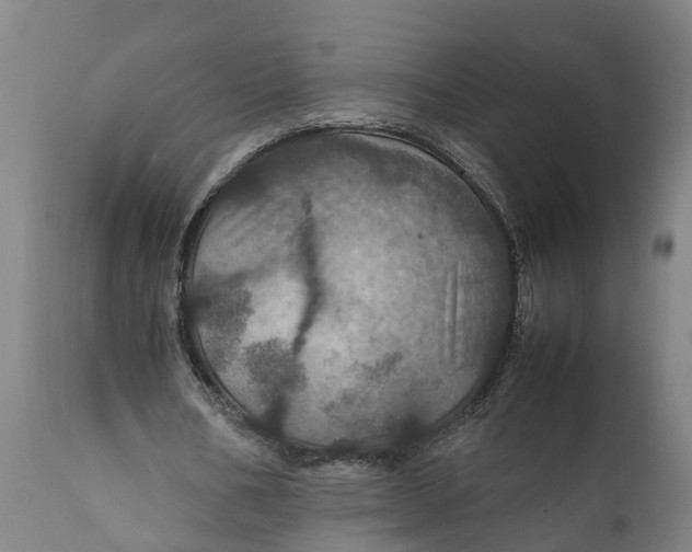 X0000112010578200908171445