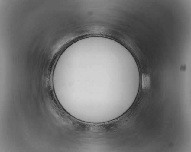 X0000112010579200908171445