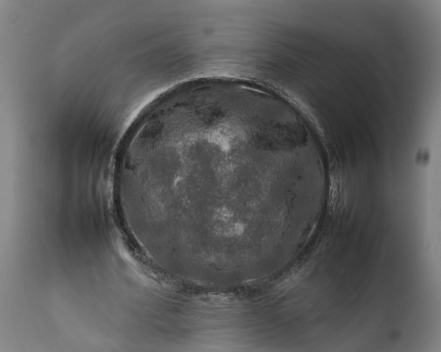 X0000112010580200908171445