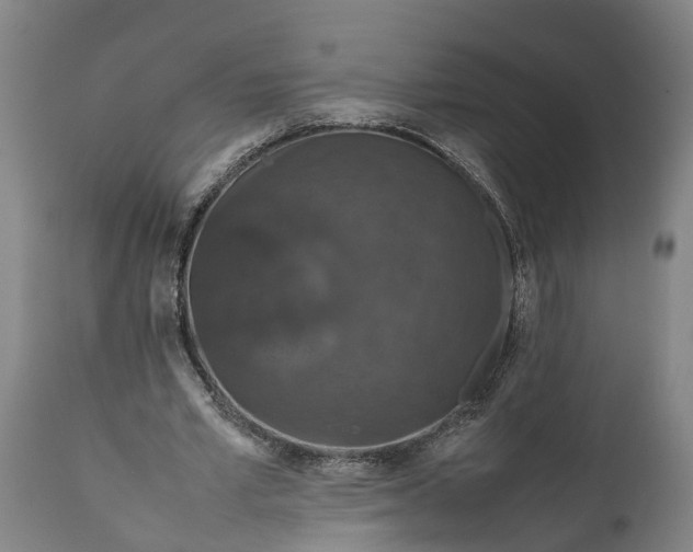 X0000112010581200908171445