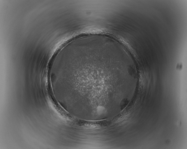 X0000112010582200908171445