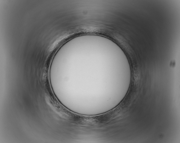 X0000112010583200908171445