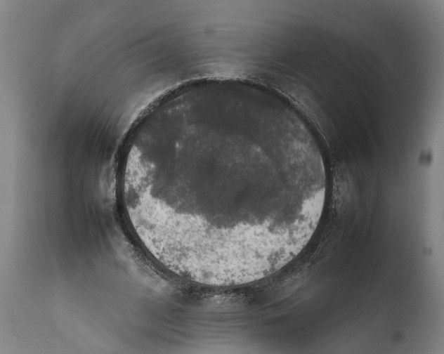 X0000112010584200908171445