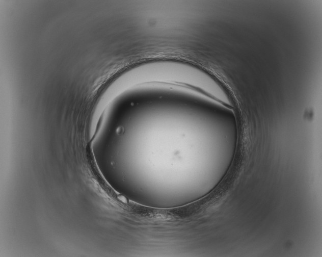 X0000112010585200908171445