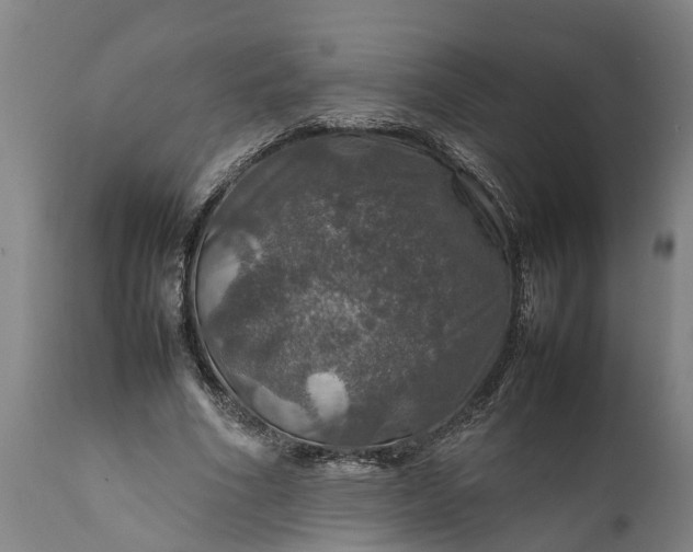 X0000112010586200908171445