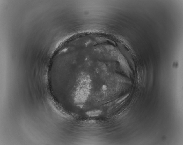 X0000112010588200908171445