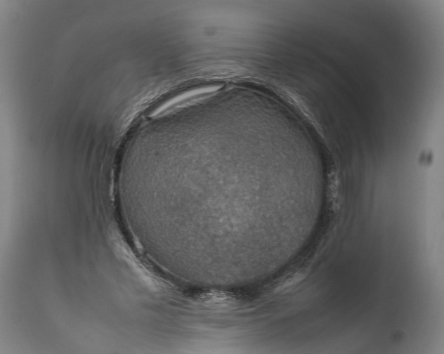 X0000112010589200908171445