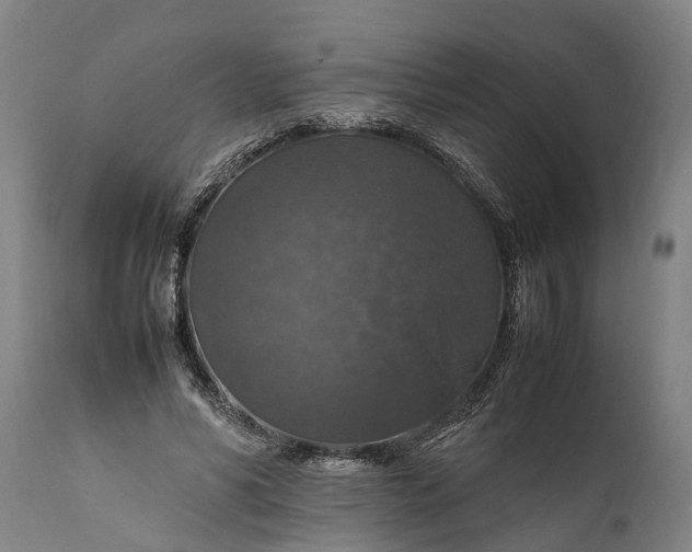 X0000112010590200908171445