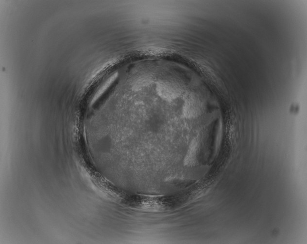 X0000112010591200908171445