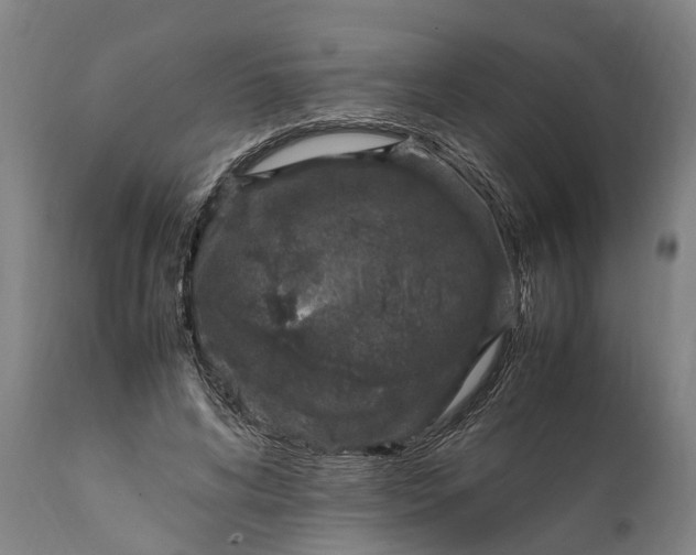 X0000112010592200908171445