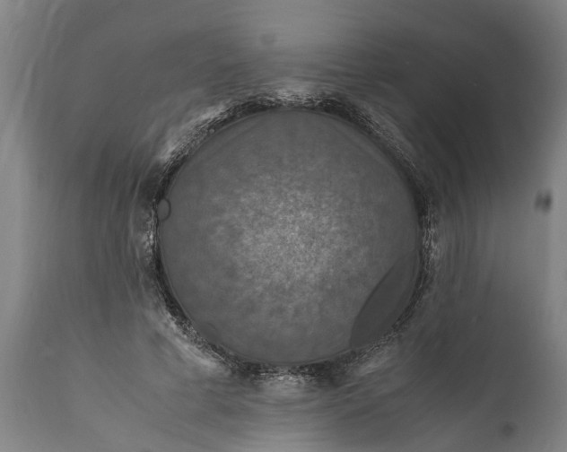 X0000112010593200908171445