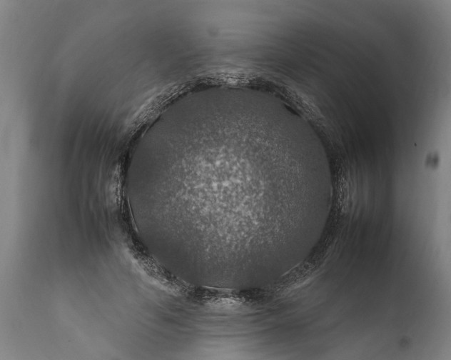 X0000112010594200908171445