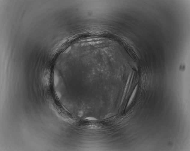 X0000112010596200908171445