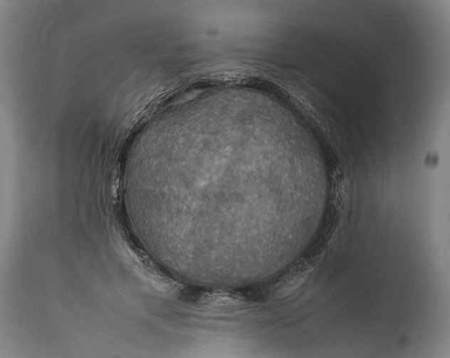 X0000112010597200908171445