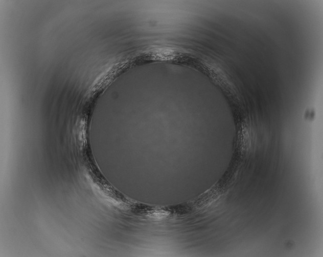 X0000112010598200908171445