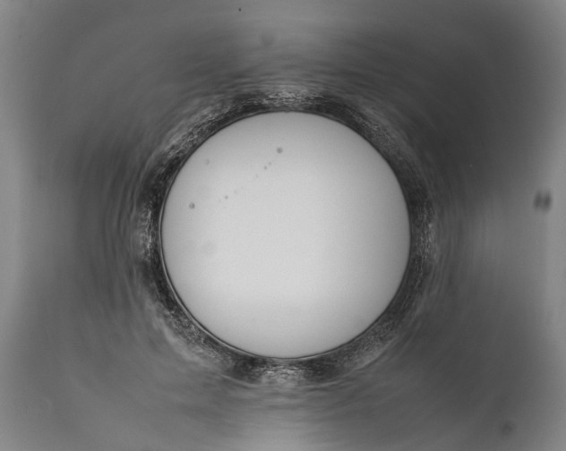 X0000112010599200908171445