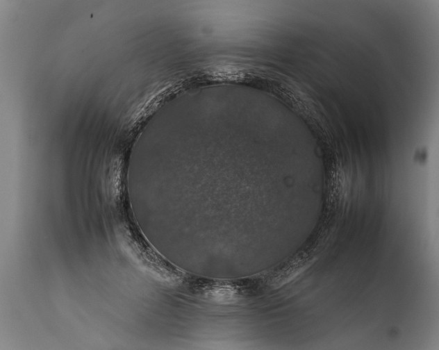 X0000112010600200908171445