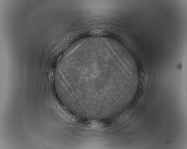 X0000112010601200908171445