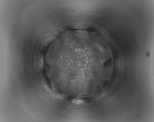 X0000112010602200908171445