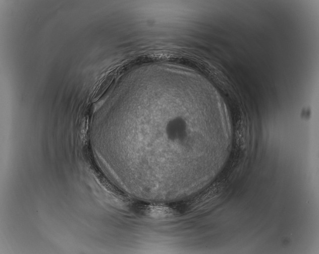 X0000112010605200908171445