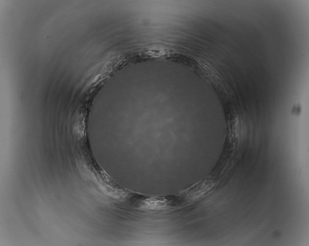 X0000112010606200908171445