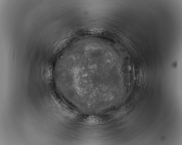 X0000112010608200908171445