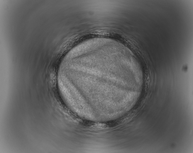 X0000112010609200908171445