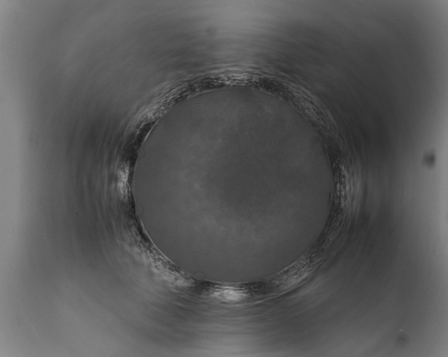 X0000112010610200908171445