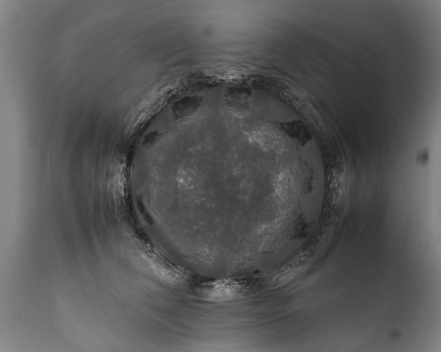 X0000112010612200908171445