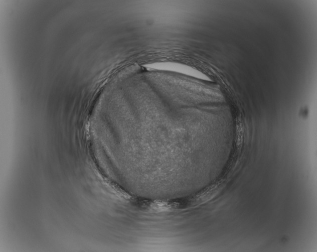 X0000112010613200908171445