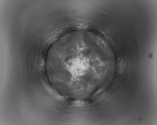 X0000112010614200908171445