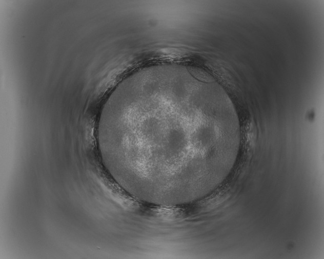 X0000112010615200908171445