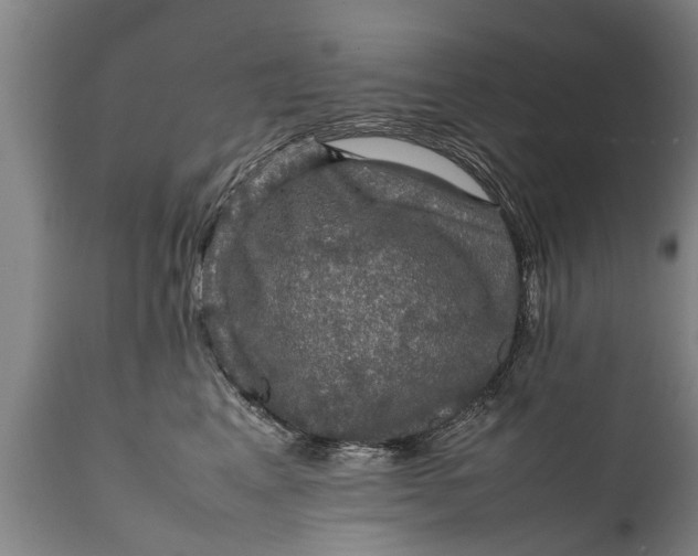 X0000112010617200908171444