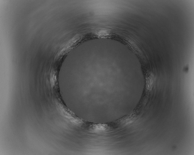 X0000112010618200908171444