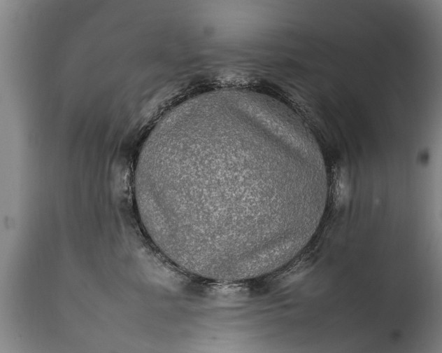 X0000112010619200908171444