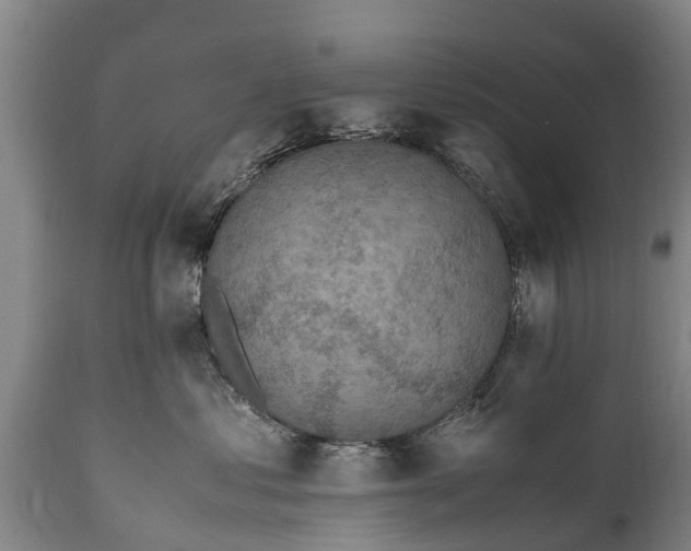 X0000112010621200908171444