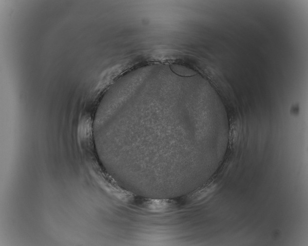 X0000112010623200908171444