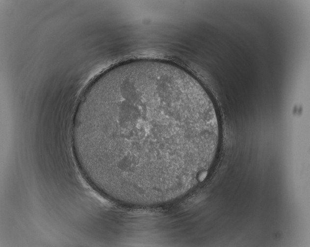 X0000112010625200908171444