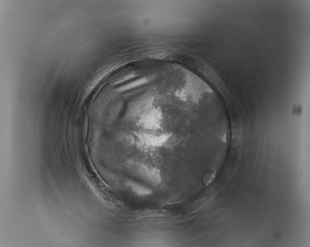 X0000112010626200908171444