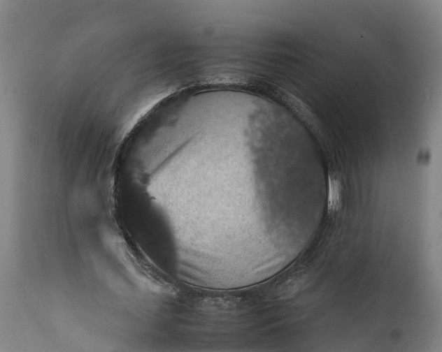 X0000112010627200908171444