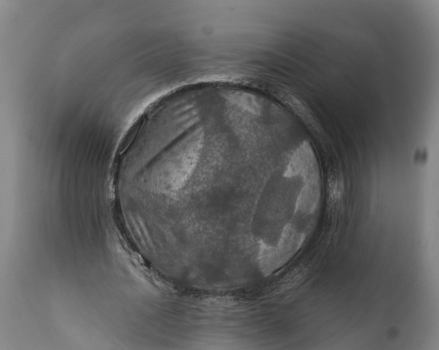 X0000112010628200908171444