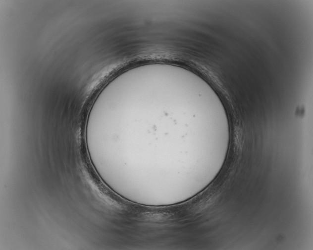 X0000112010629200908171444