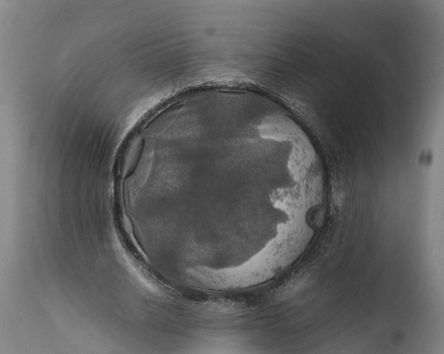 X0000112010630200908171444