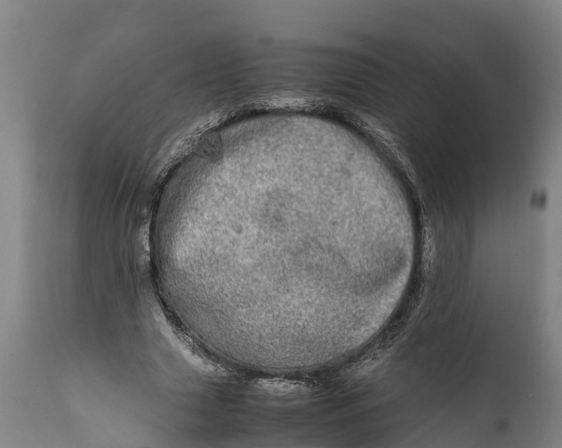 X0000112010633200908171444